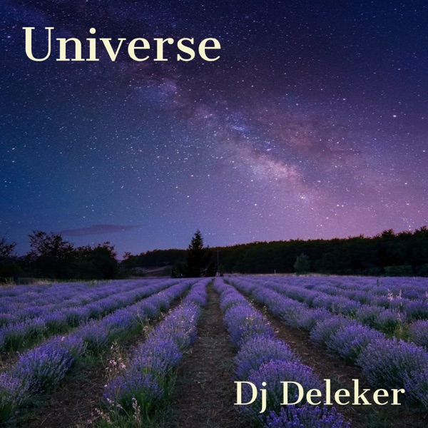 Dj Deleker - Universe